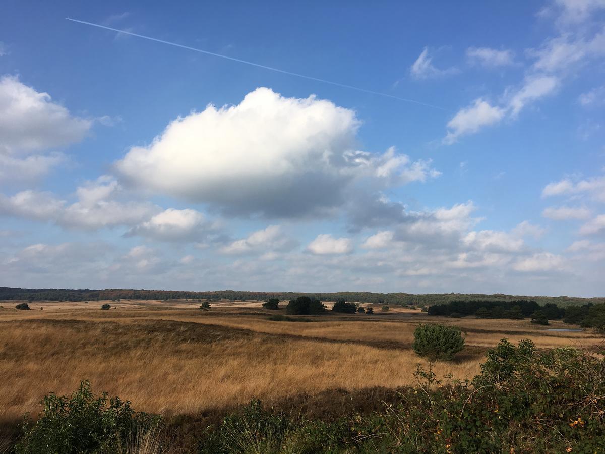 De Slaapfabriek Vakantiehuis En Trainingslocatie Teuge Dış mekan fotoğraf